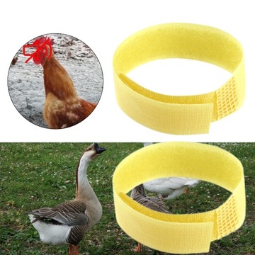 2x Nylon Rooster Anti Crow Collar Neck Belt Chicken Collar No Crow Yellow
