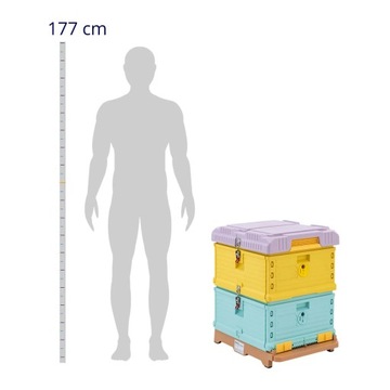 Улей пчелиный из утепленного полипропилена, 2 корпуса 54 х 44 см.