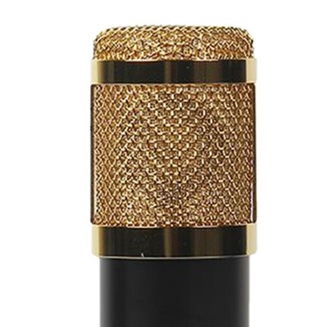 Конденсаторный микрофон для записи.