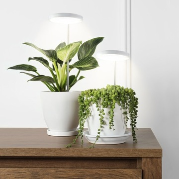 ЛАМПА ДЛЯ РОСТА РАСТЕНИЙ СВЕТОДИОДНАЯ USB 10 Вт, регулируемый ТАЙМЕР ВЫРАЩИВАНИЯ с регулируемой яркостью