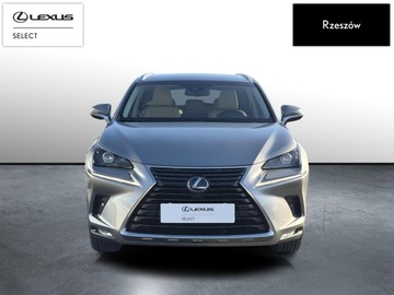 Lexus NX I SUV Facelifting 300h 197KM 2018 Lexus NX 300h Comfort AWD I (2014-2021) NX300h Com, zdjęcie 7