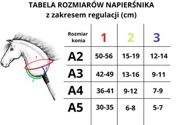 Кираса для лошади-любителя - разные цвета