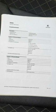 Skoda Kamiq Crossover 1.6 TDI 115KM 2020 Skoda Kamiq 1.6 TDI Navi Virtual Kamera bezwypadkowa serwisowana oplacona, zdjęcie 28