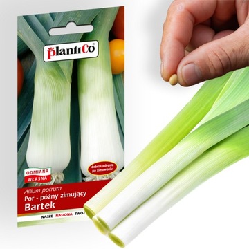 Nasiona warzyw POR BARTEK 1g. nasiona PlantiCo