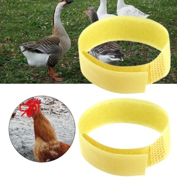 2x Nylon Rooster Anti Crow Collar Neck Belt Chicken Collar No Crow Yellow