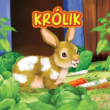 Książka Królik Katarzyna Campbell