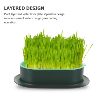 Кошачий туалет с гидропонными растениями