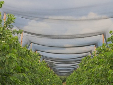 ЗАЩИТНАЯ СЕТЬ ОТ ПТИЦ ДЛЯ ПТИЦ И САДОВ ДЛЯ ПТИЦ, ГЛАДКАЯ 27х27мм