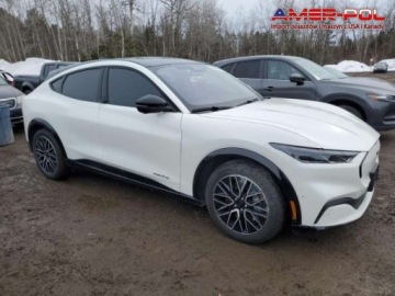 Ford Mustang VI 2024 Ford Mustang 2024 Ford Mustang Mach-E Premium Elektryczny 325KM