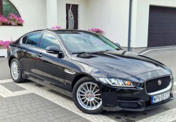 Jaguar XE Sedan 2.0 i4 163KM 2016 Jaguar XE JAGUAR XE 2.0D ALU LED NAVI XENON KAMERA BEZWYPADEK 2.0 Diesel, zdjęcie 13
