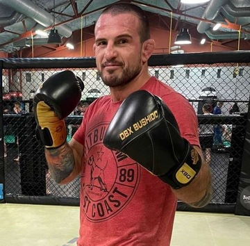 Перчатки боксерские 