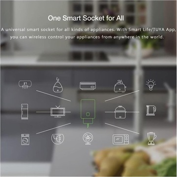 РОЗЕТКА ИНТЕЛЛЕКТУАЛЬНОГО ДИСТАНЦИОННОГО УПРАВЛЕНИЯ