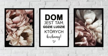 НАБОР РАМКИ ДЛЯ КАРТИН A3x3 СОВРЕМЕННЫЕ ЦВЕТЫ БОХО