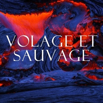ГЕЛЬ ДЛЯ ДУША Möller SPA VOLAGE ET SAUVAGE С МУЖСКИМ ПАРФЮМНЫМ ЗАПАТОМ 5л