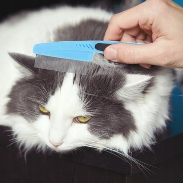 Расческа для волос от перхоти