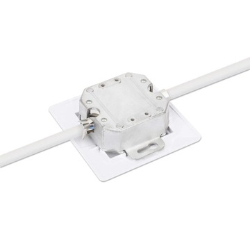 Intellinet 771900 Розетка питания 2 x RJ-45 Белый