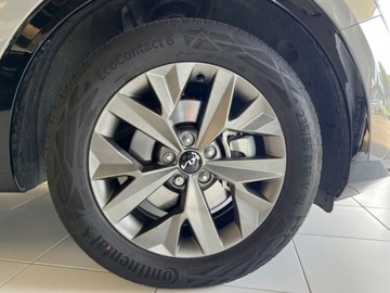 Kia Sportage V 2025 KIA Sportage 1.6 T-GDI HEV Anniversary 4WD aut Suv 210KM 2025, zdjęcie 12