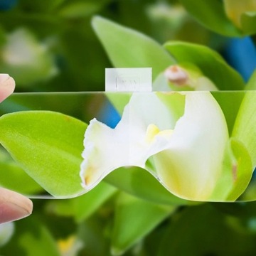 ЛУПА ГОЛОВНАЯ ЛУПА СМЕННЫЕ СВЕТОДИОДНЫЕ ЛИНЗЫ ГОЛОВНОЙ