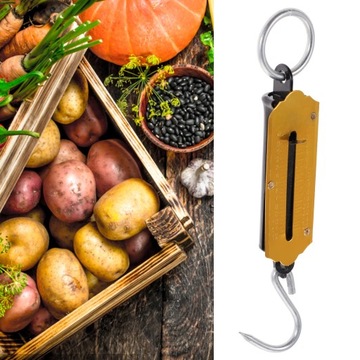 ПРУЖИННЫЕ ВЕСЫ ПОДВЕСНЫЕ ВЕСЫ ВЕСЫ ДЛЯ МАЛЕНЬКИХ РЫБОК