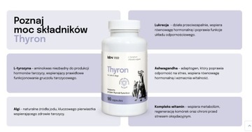 Lab-V THYRON 90 kapsułek