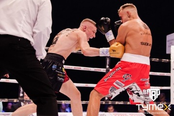 Боксерские перчатки TIGER GOLD V, 10 унций