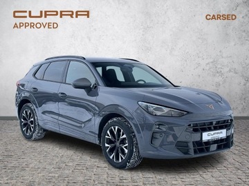 Cupra Terramar SUV 1.5 eTSI 150KM 2024 Cupra Terramar 1.5 TSI 150KM Pakiet Edge Pakiet Pu, zdjęcie 6