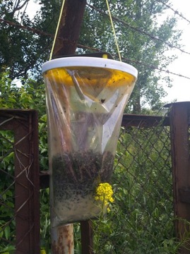 FLY BAG TRAP ловушка для мух с мешком ХИТ!!