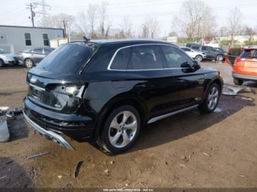 Audi Q5 II 2022 Audi Q5 Premium Plus 45 S-Line 2022 2.0 Benzyna 261KM, zdjęcie 5