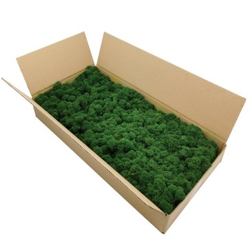 Финский мох 500г нетто