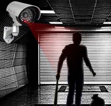 ФУНКЦИОНАЛЬНАЯ КАМЕРА - МИГАЮЩАЯ КАМЕРА СЕРЕБРЯНЫМ СВЕТОДИОДОМ - Мониторинг-БЕЗОПАСНОСТЬ