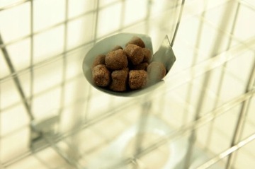 КЛЕТКА ДЛЯ КРЫС МУЖЧИНА 50x17x20 + ПРИМАНКА