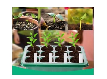 5 стартовых лотков для выращивания растений, семян цветов, мини-теплиц, светодиодных ламп