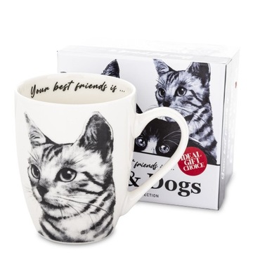 KUBEK CATS AP