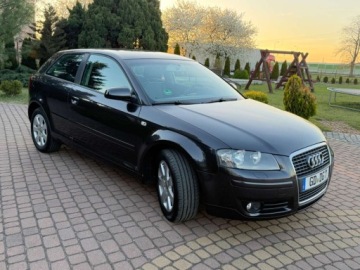 Audi A3 8P Hatchback 3d 1.6 102KM 2004 Audi A3 3-drzwiowe 1.6mpi 102KM Klima Alusy Grzane fotele Sprawdz 1.6, zdjęcie 16
