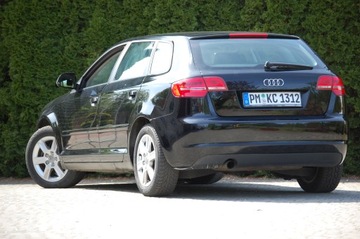 Audi A3 8P Hatchback 3d 1.6 102KM 2010 Audi A3 Lift Automat 5drzwi1.6MPI Klimatronic Alu Lato+Zima, zdjęcie 13