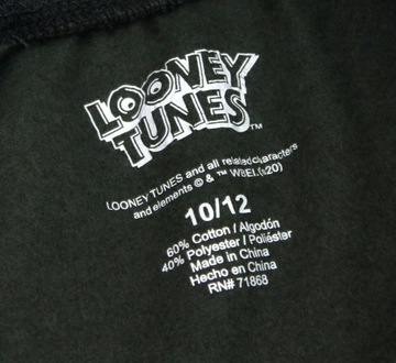 LOONEY TUNES Комплект Толстовка + Штаны детский 10/12