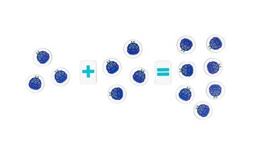 ИГРА СЧЕТ Монстры Голодные люди ОБУЧЕНИЕ СЧЕТУ 3+