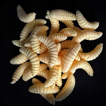Искусственные черви WHITE BAIT Bait PINKA Flies LARVA Набор 100 шт.