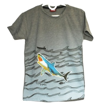 Bluzka dziecięca t-shirt z rekinem 6-7 l / 122