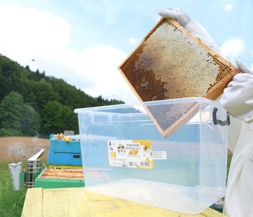 30Л СОТОВЫЙ КОНТЕЙНЕР ДЛЯ РАМ В ВЕЛИКОЙ ПОЛЬШЕ