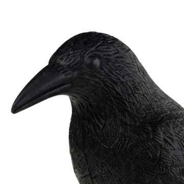 БОЛЬШОЙ СЫРЬЕ, ОТПУСКАТЕЛЬ ПТИЦ, ГОЛУБИ, ДЛЯ БАЛКОНА