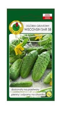 Ogórek gruntowy Wisconsin SMR 58 5 g PNOS