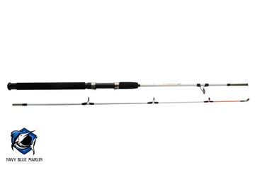 WĘDKA SPINNING CROCODILE 2,1M 100-250G