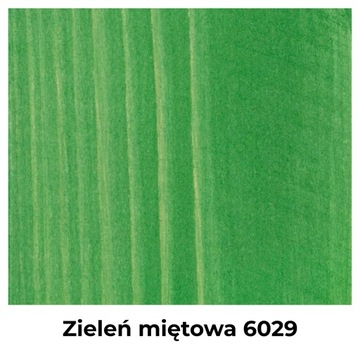 LAKIEROBEJCA DO DREWNA 3W1 LAZURA ZIELONY MIĘTOWY 6029 PÓŁMAT 5L OCHRONNA