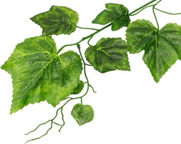 ЛИСТ ВИНОГРАДНЫЕ ЛИСТЬЯ ВЕТКИ ВИНОГРАДНЫЕ СТЕБЛИ ДЛЯ ЦВЕТОЧНЫХ ЦЕНТРОВ 12 шт.