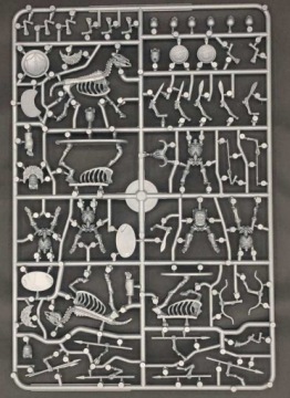 Скелеты конницы и колесницы