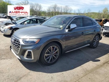 Audi Q5 II 2025 Audi SQ5 2025r., 4x4, 3.0L 3.0 Benzyna 349KM