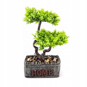 BONSAI DRZEWKO W DONICZCE OZDOBNA ROŚLINA 25CM