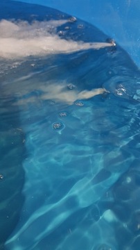 Balia ogrodowa , BW-23P Hot tub, Gorąca beczka .