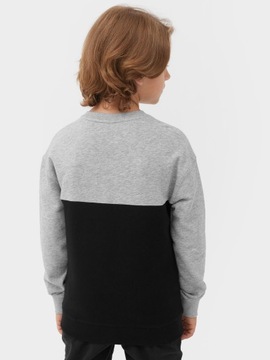 СПОРТИВНАЯ ТОЛСТОВКА ДЛЯ МАЛЬЧИКОВ 4F, БЕЗ МОЛНИИ